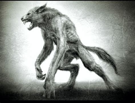 Cugse of the werewolf